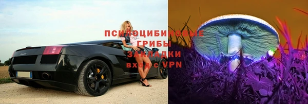 амф Вязники