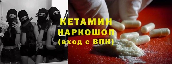 прущие грибы Волосово
