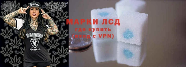 стаф Володарск