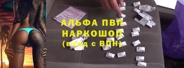 стаф Володарск