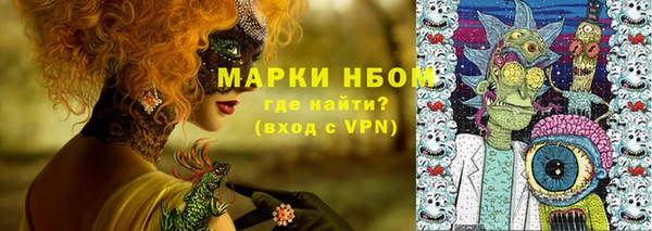 прущие грибы Волосово