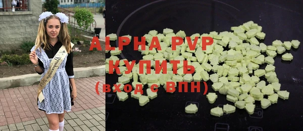 прущие грибы Волосово