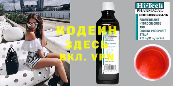 хмурый Вяземский