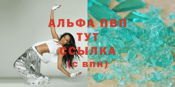 прущие грибы Волосово